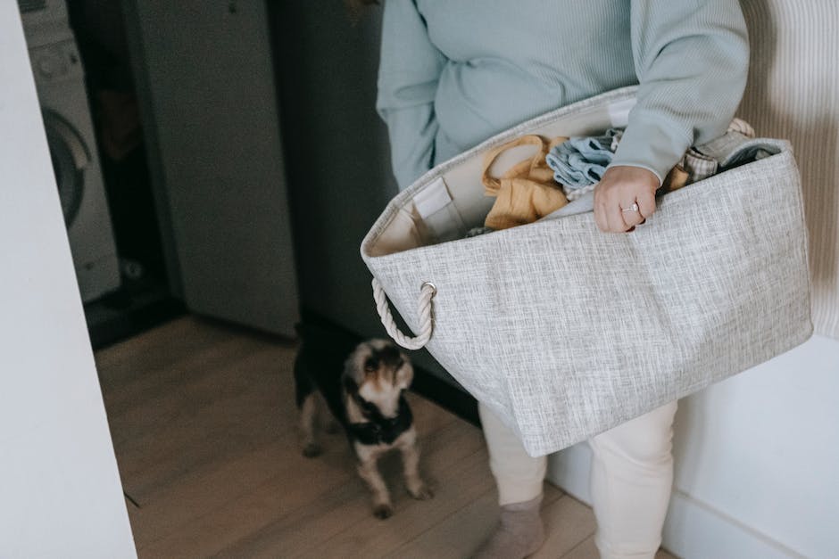 Wäsche nicht in der Wohnung trocknen - Warum das so ist