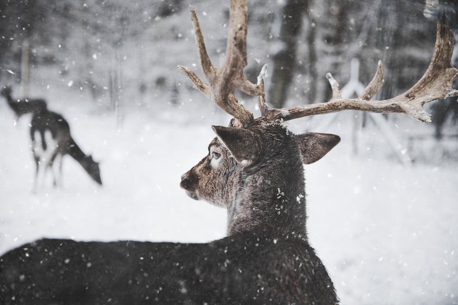 Wäschetrocknen im Winter - Gründe und Tipps