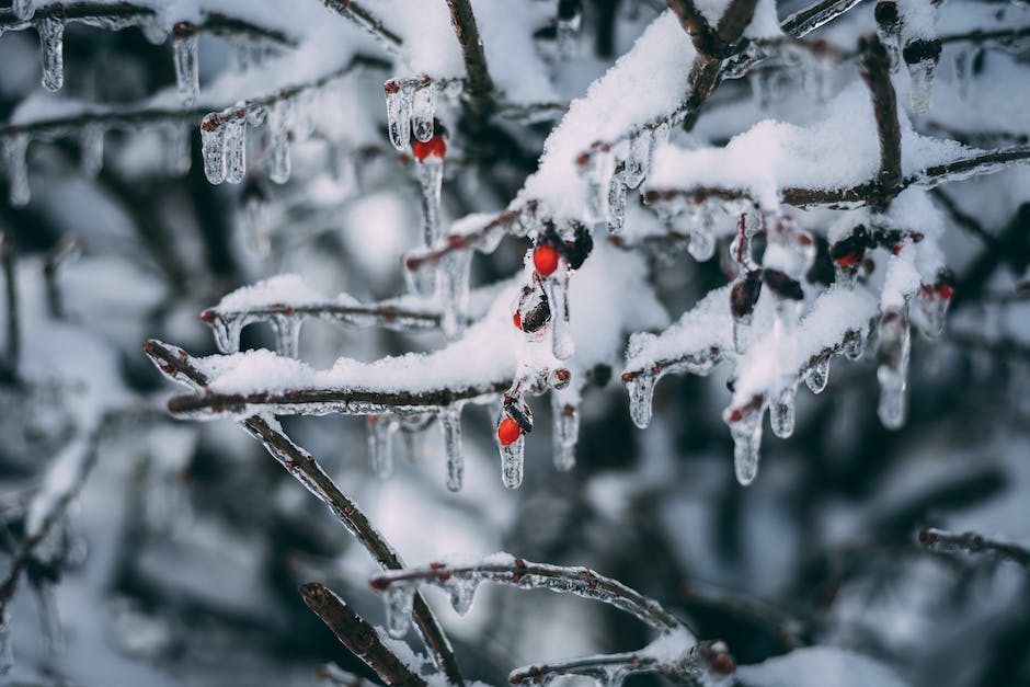 Warum Wäsche im Winter draußen getrocknet werden sollte