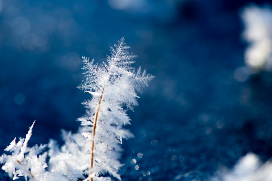  Gründe warum man zwischen Weihnachten und Neujahr nicht waschen sollte