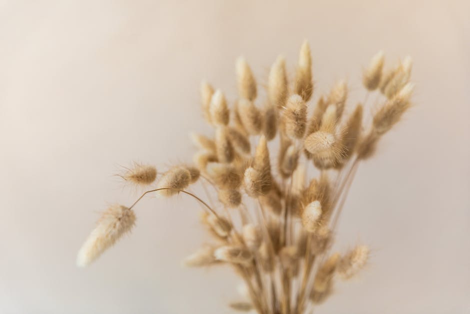 Schuppen loswerden mit dem richtigen Haarwaschen