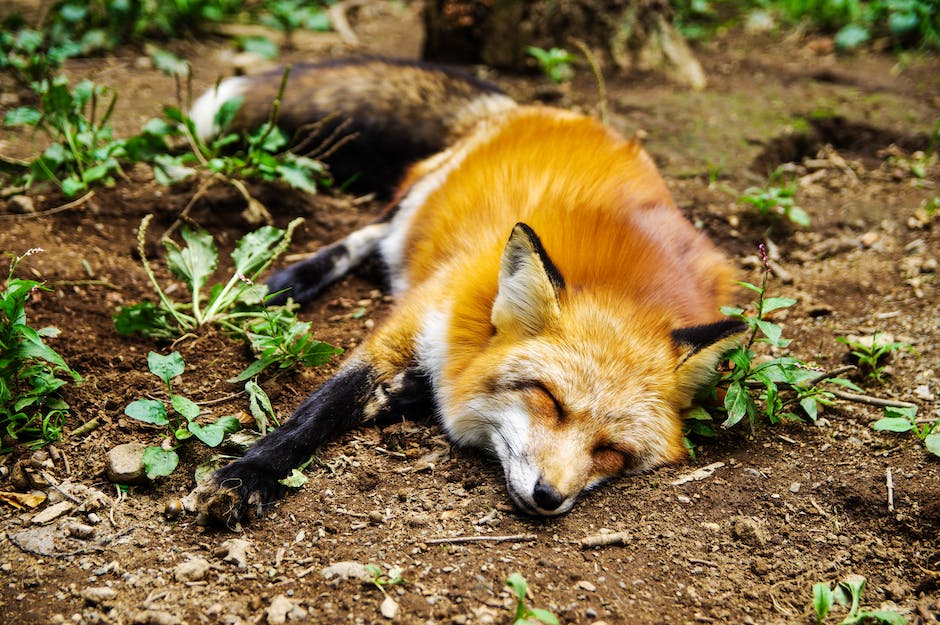 Wann sollte man nach Grauer-Star-Operation seine Haare waschen?