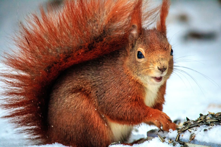  Warum knüpfen sich die Haare nach dem Waschen