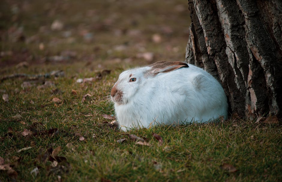  Lange Haare nach Dauerwelle ohne Waschen