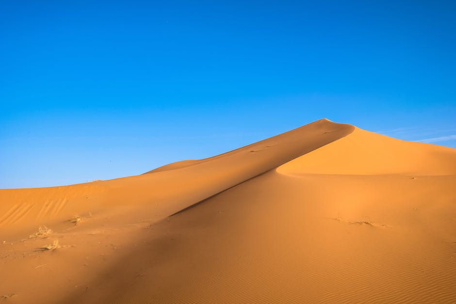  Tipps zum Haarewaschen bei trockenen Schuppen