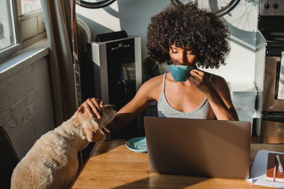 Hunde waschen - Wie oft soll das gemacht werden?